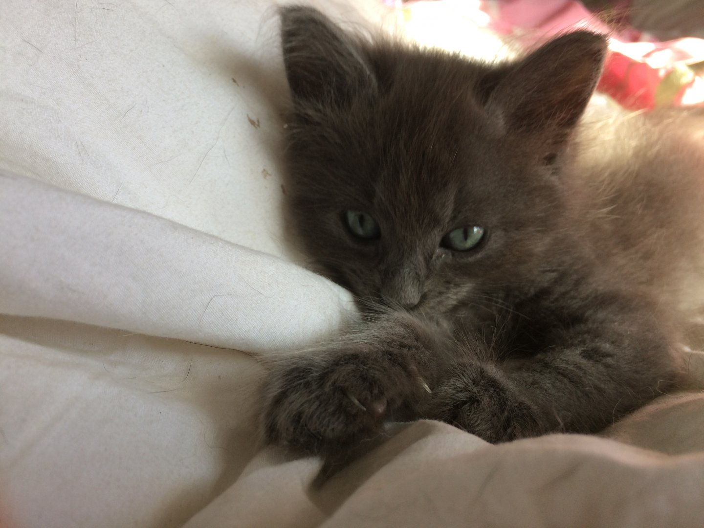 sleepy eyes