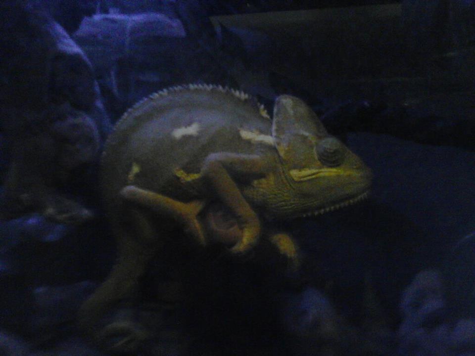 Sleepy Time
