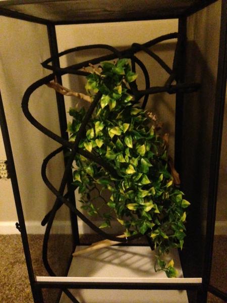 small enclosure 18x18x36