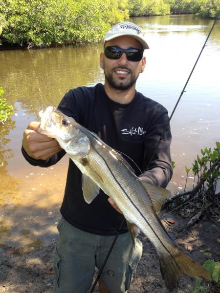 Small naples snook