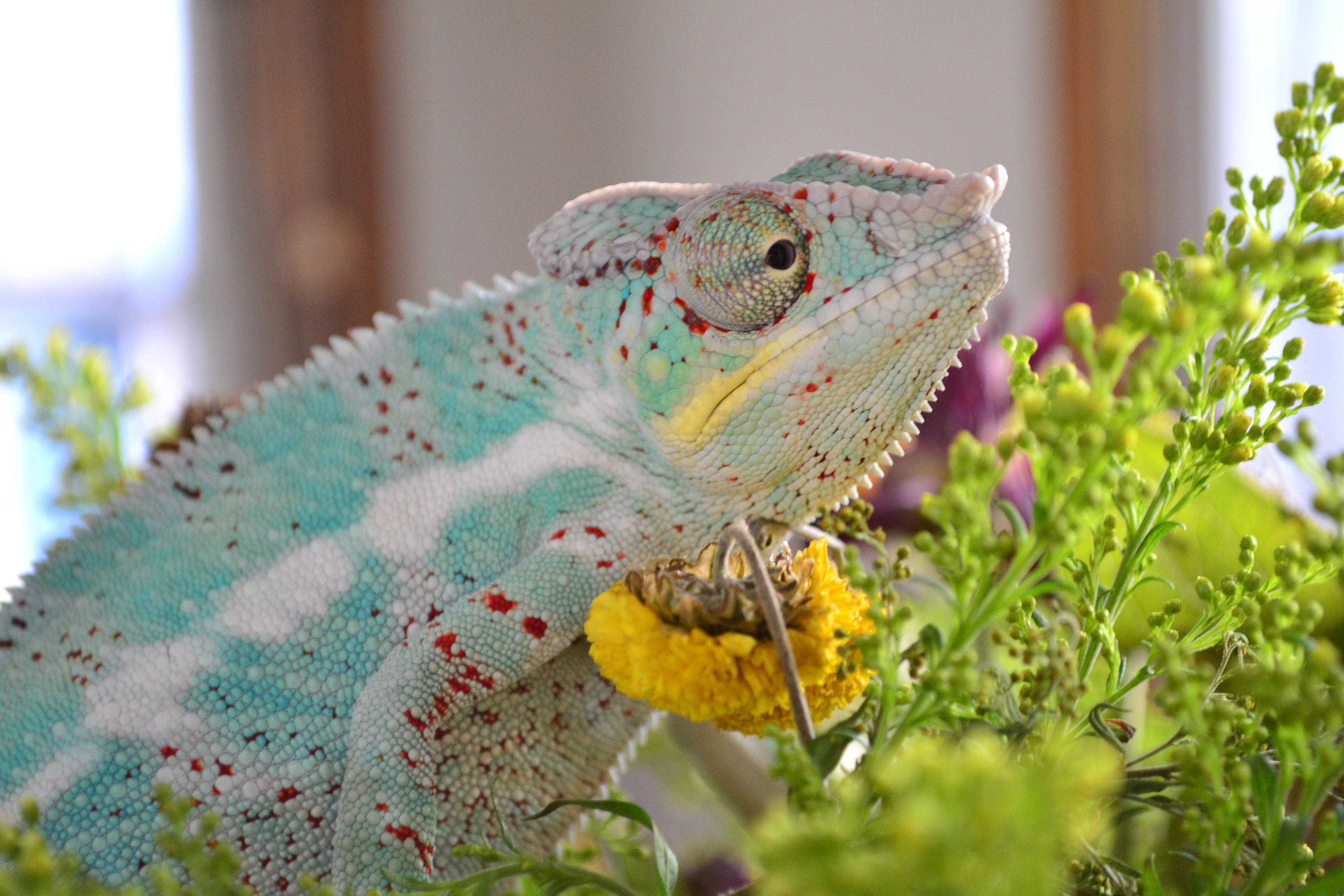 Smelling The Flowers