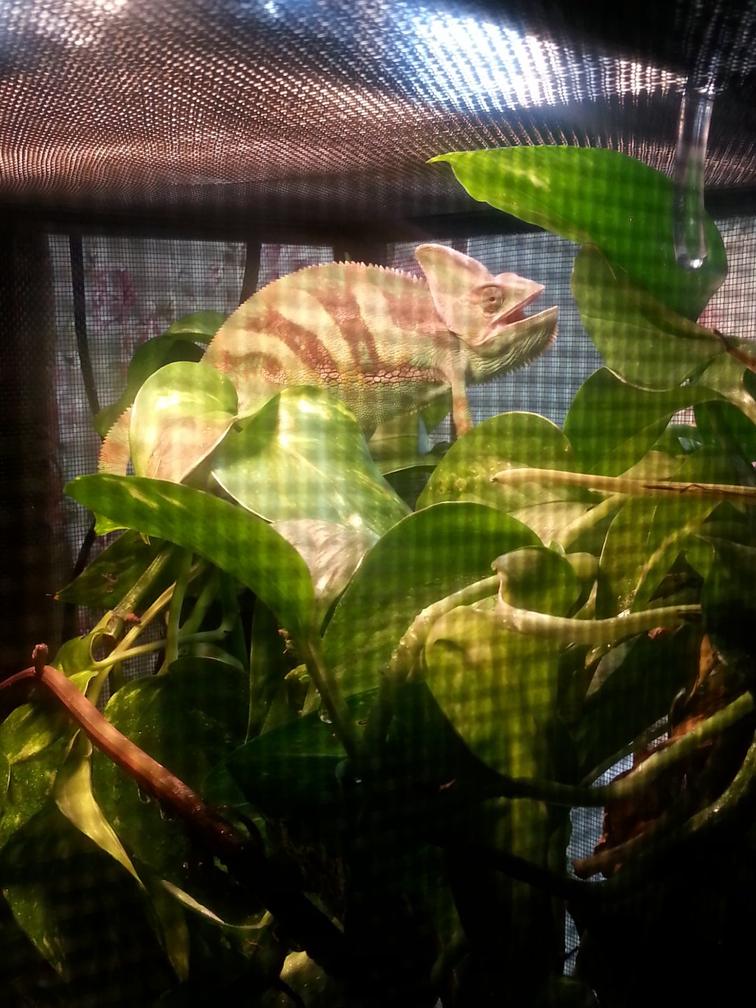 smile for the camera