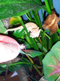 Snackinnn... Baby Pics