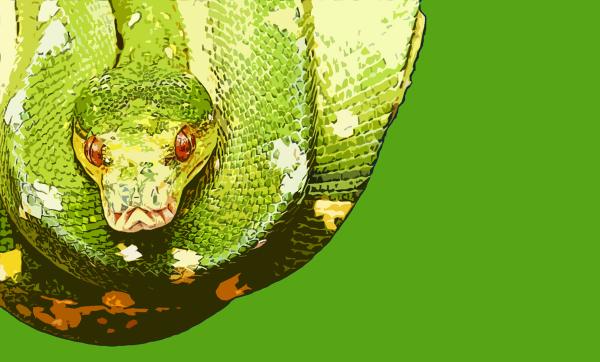 snake