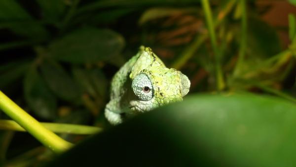 sneaky :)