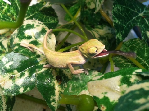 So friggin cute!