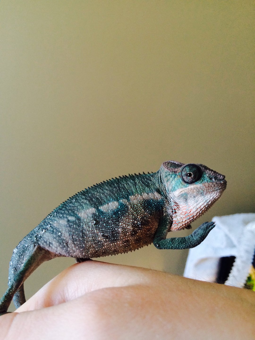 So handsome