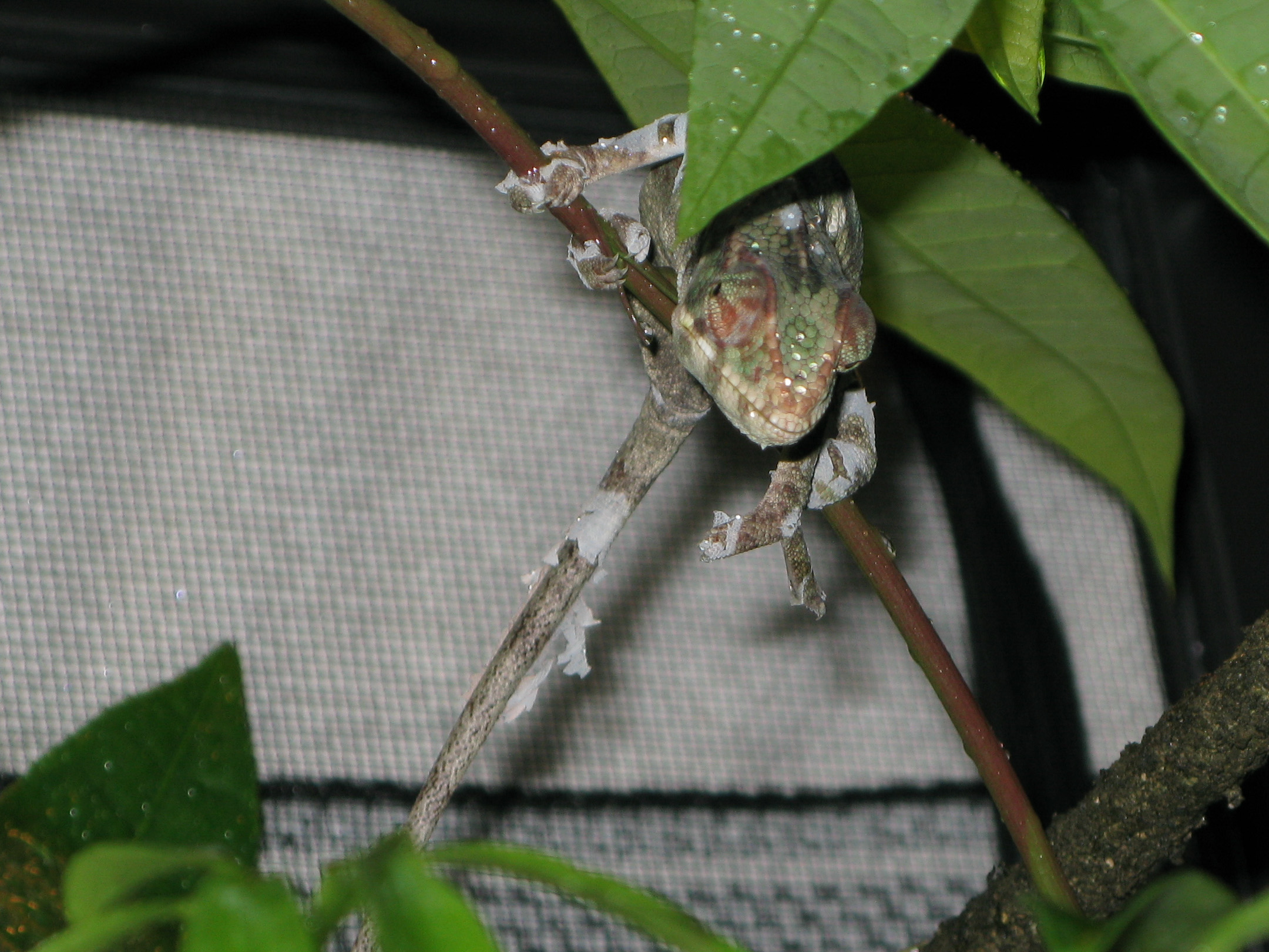 So You Think You Have Dry Skin? Lol