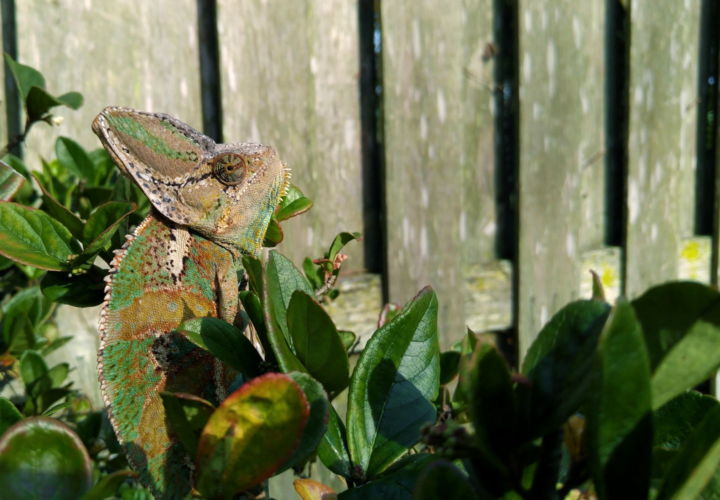 Soaking up some sun