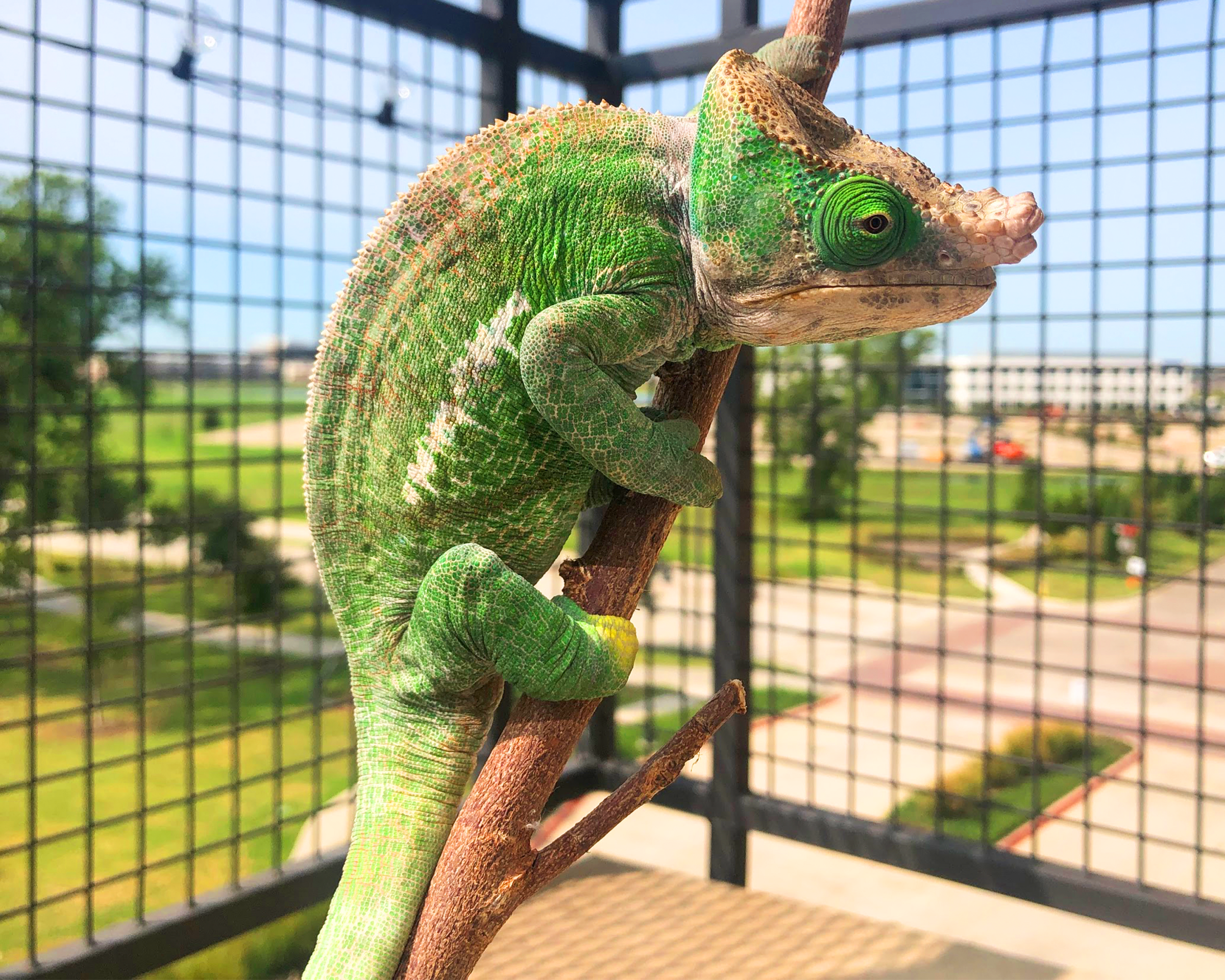 Soaking up the fresh sunrays