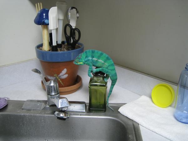 Soap first. Then water.