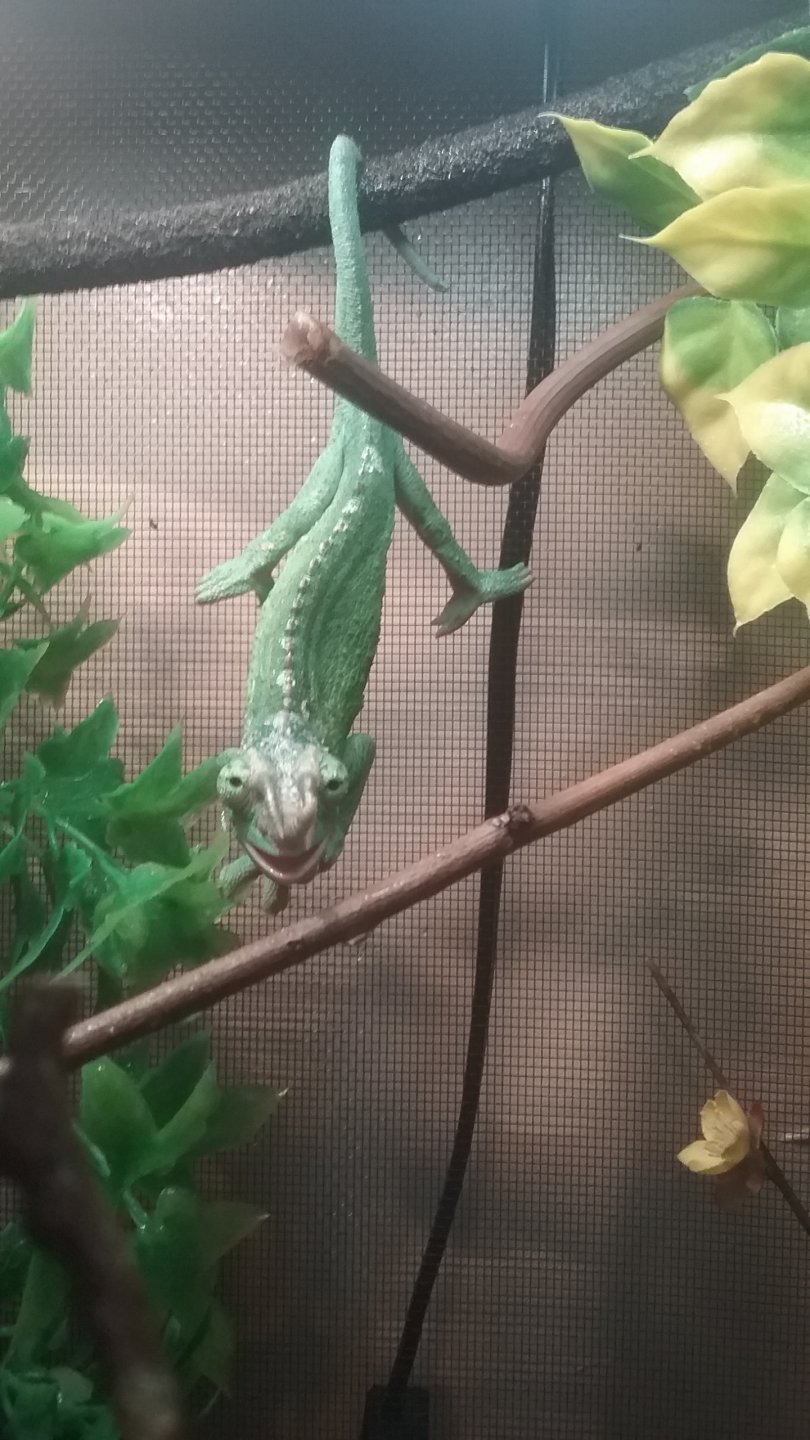 Some shipment reassurance..