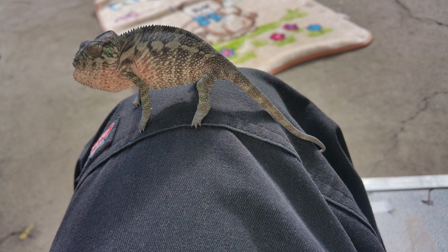 someone doesn't  like the camera