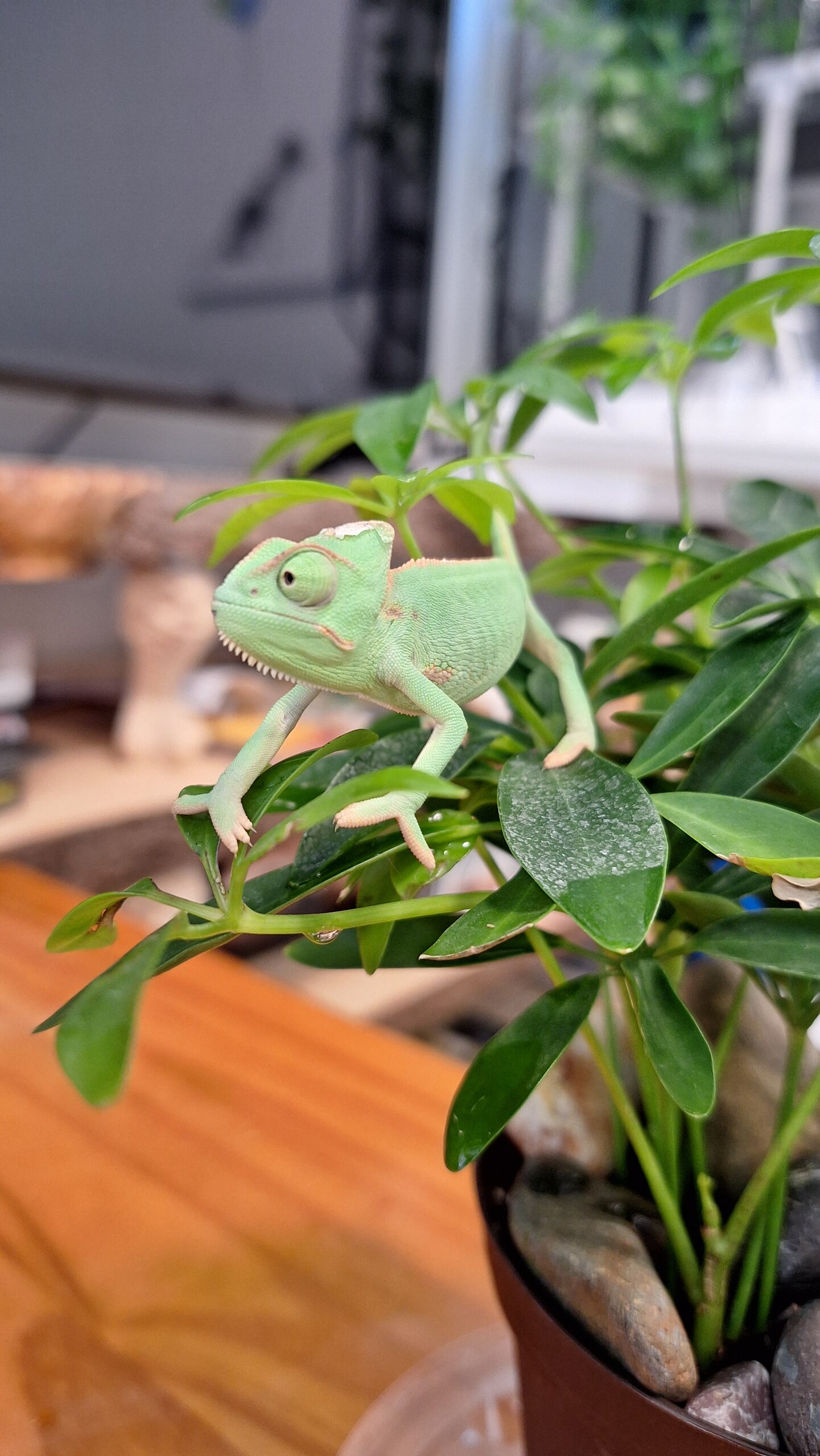 Sometimes big adventures start small