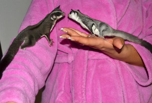 Sophie & Snookie meeting for the first time.