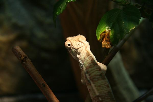 spike3