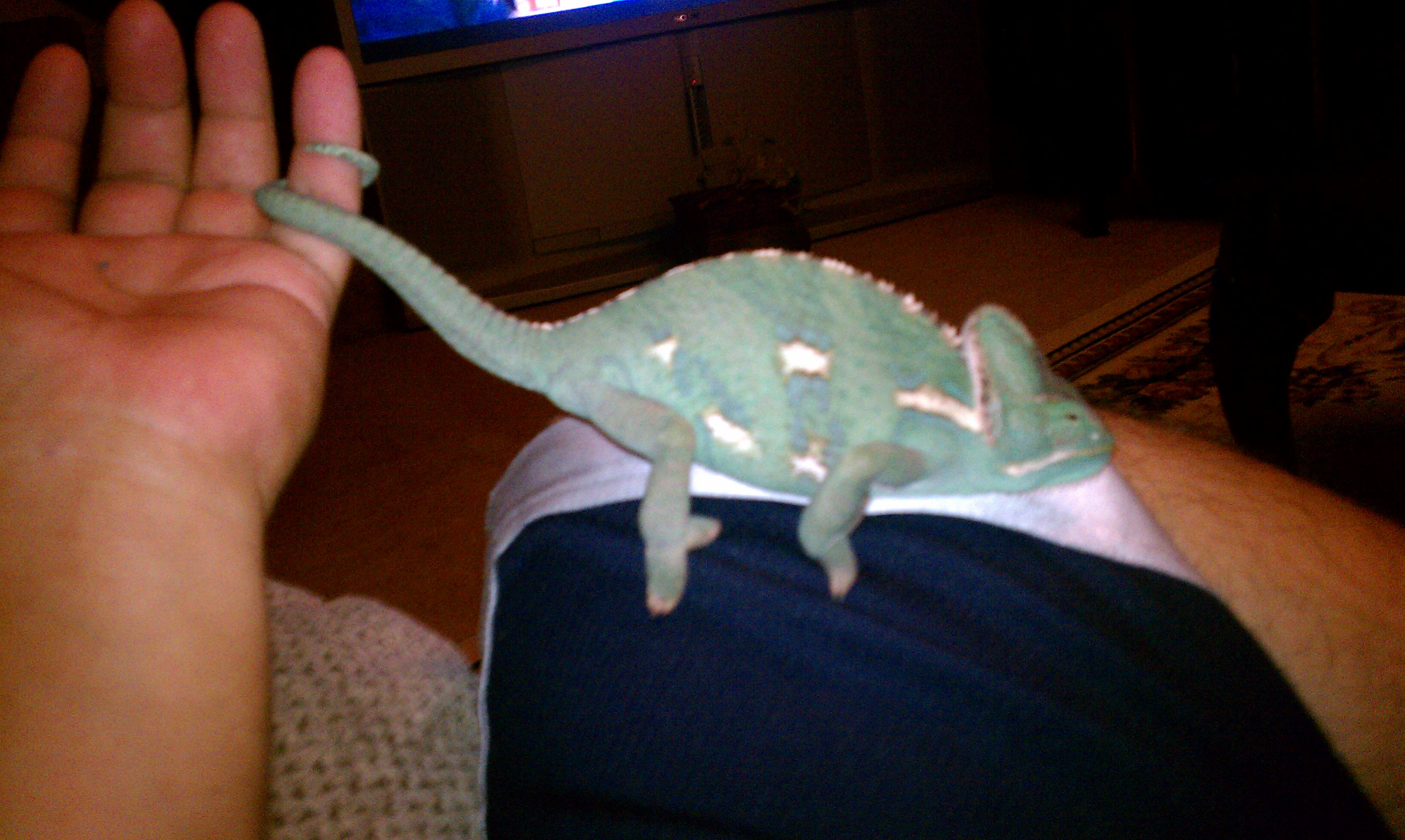 Spikey