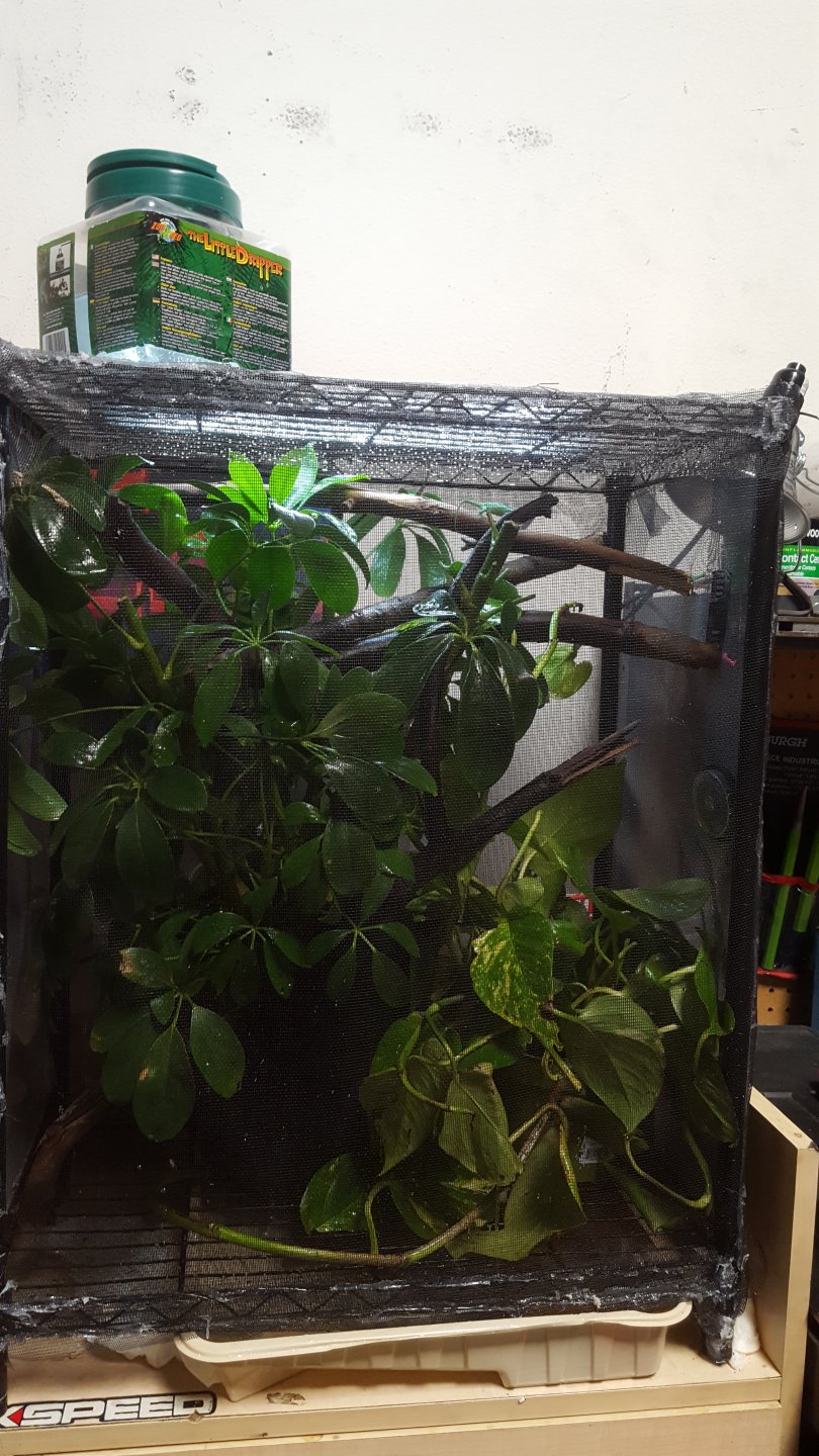 Spyros diy cage