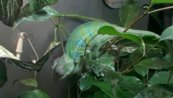 starting to change colors
