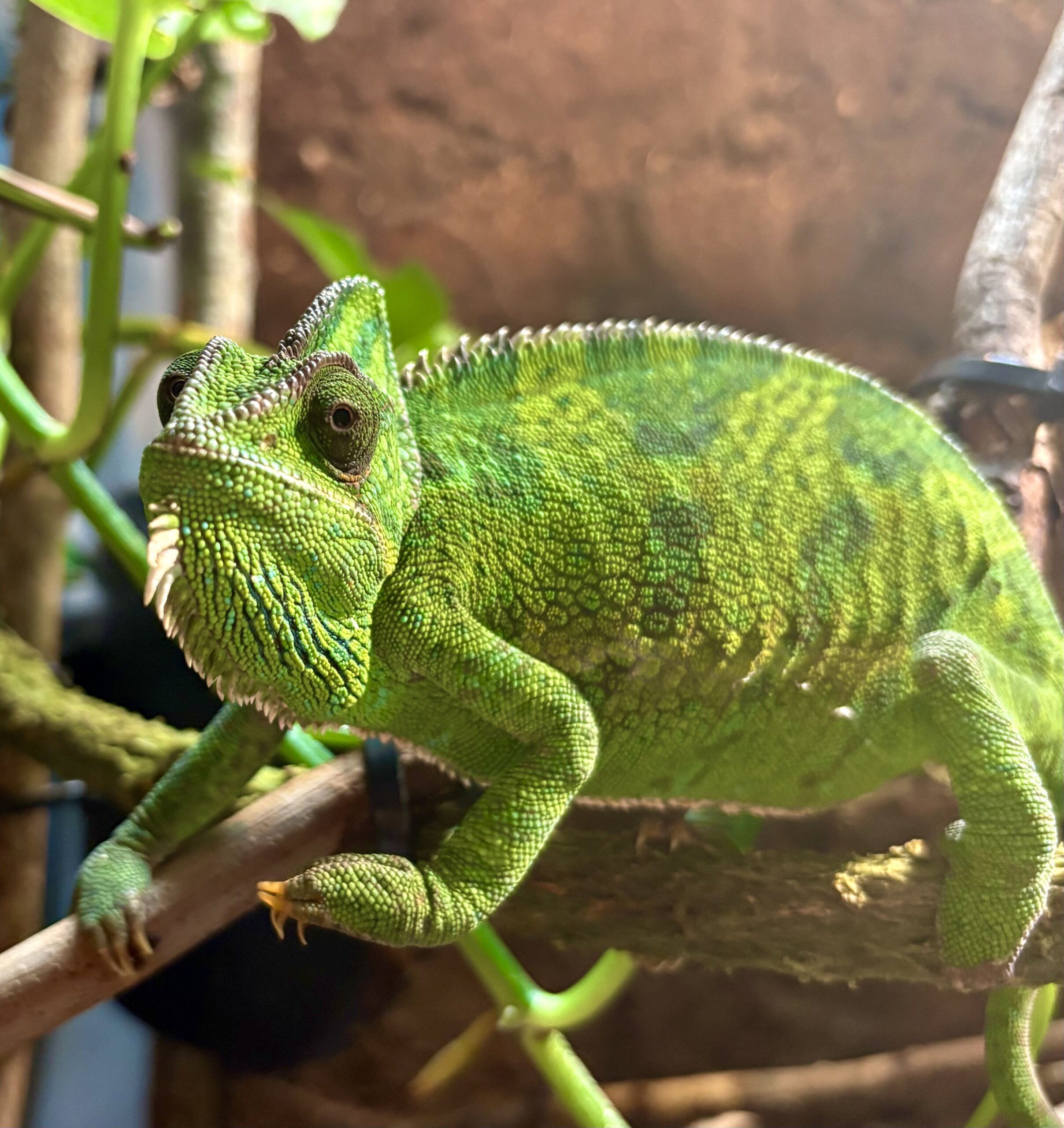 Stella has still got it! 🩷