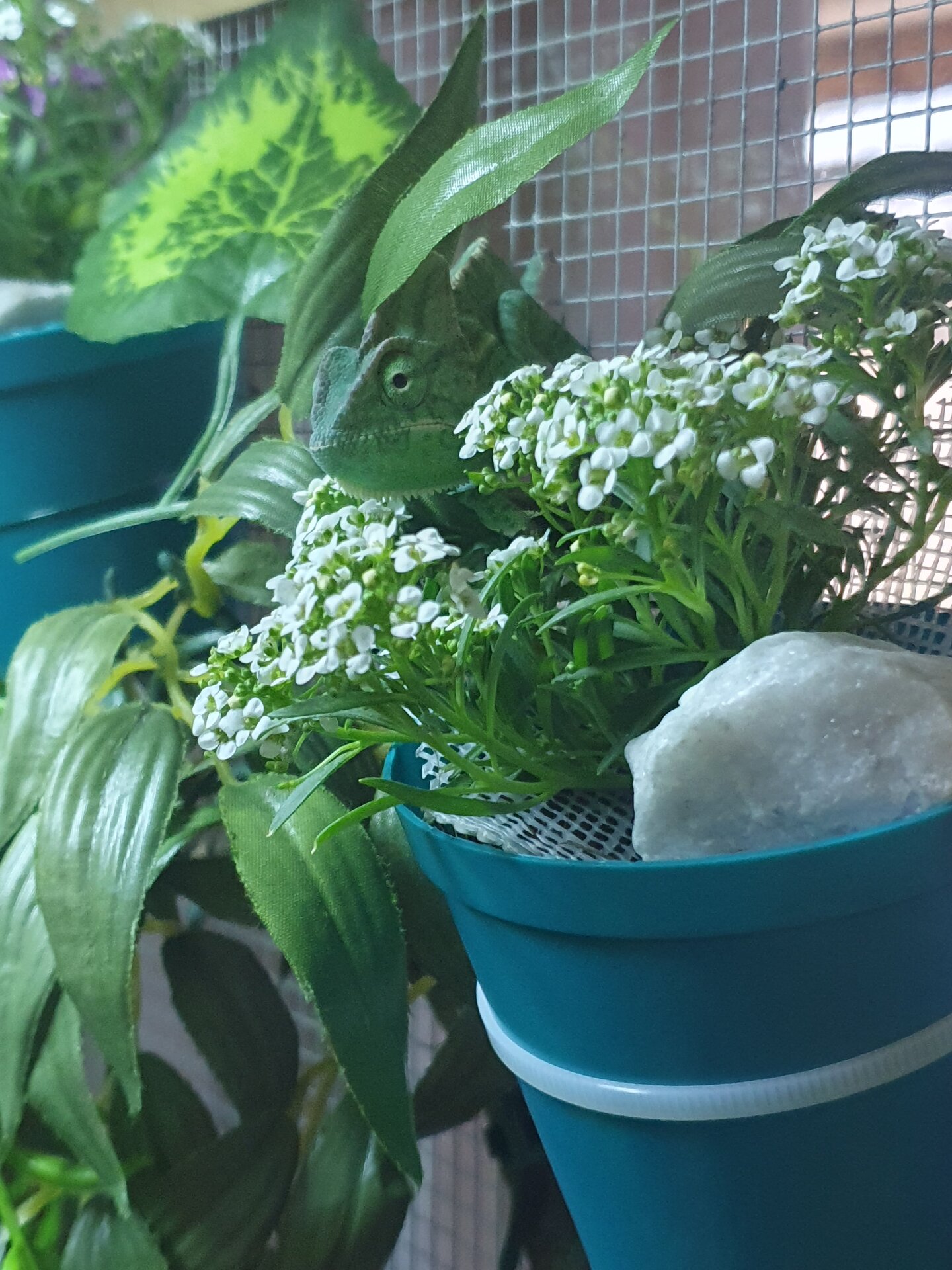 Stop and Smell the flowers