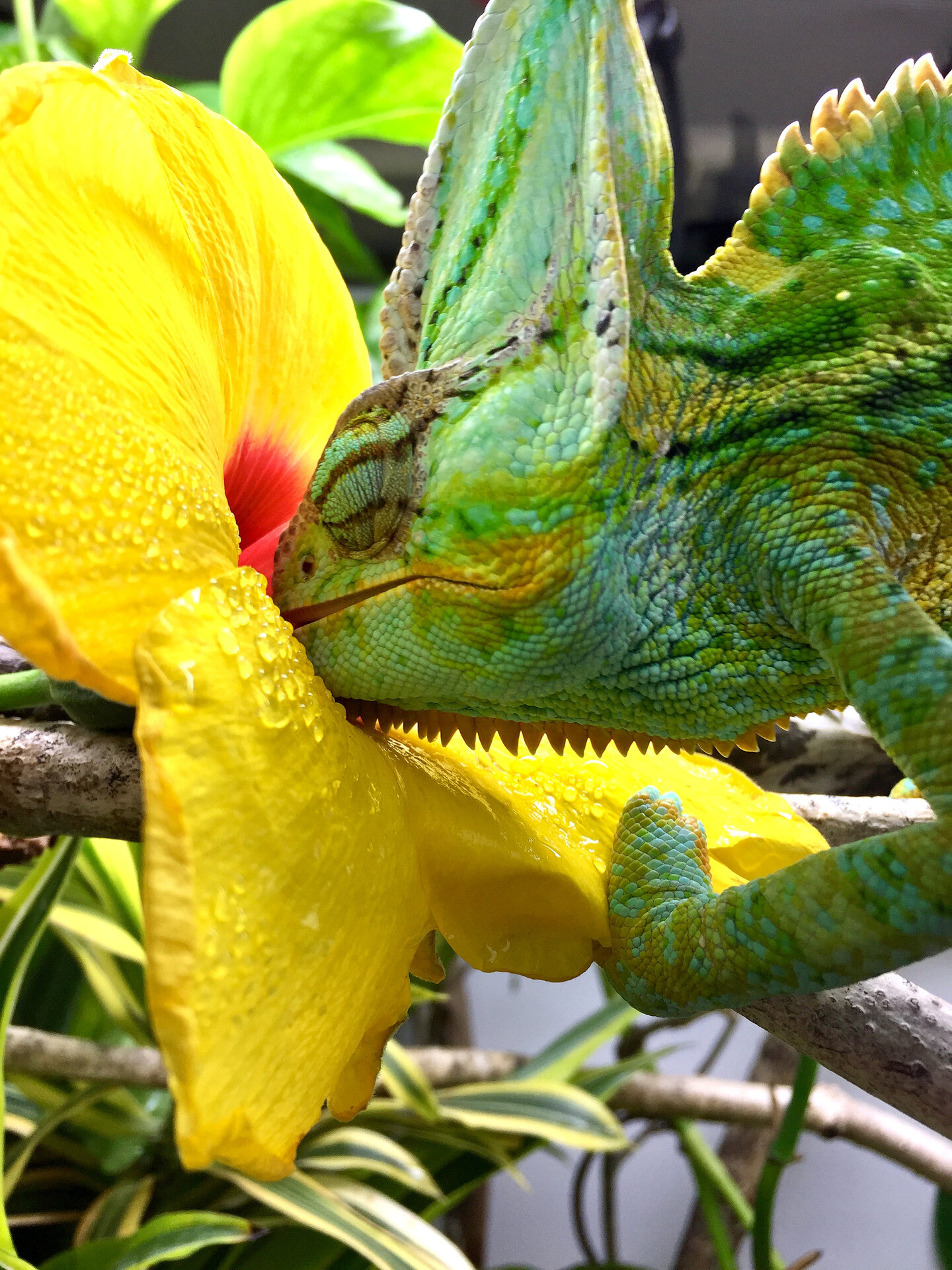 Stop and "smell" the flowers