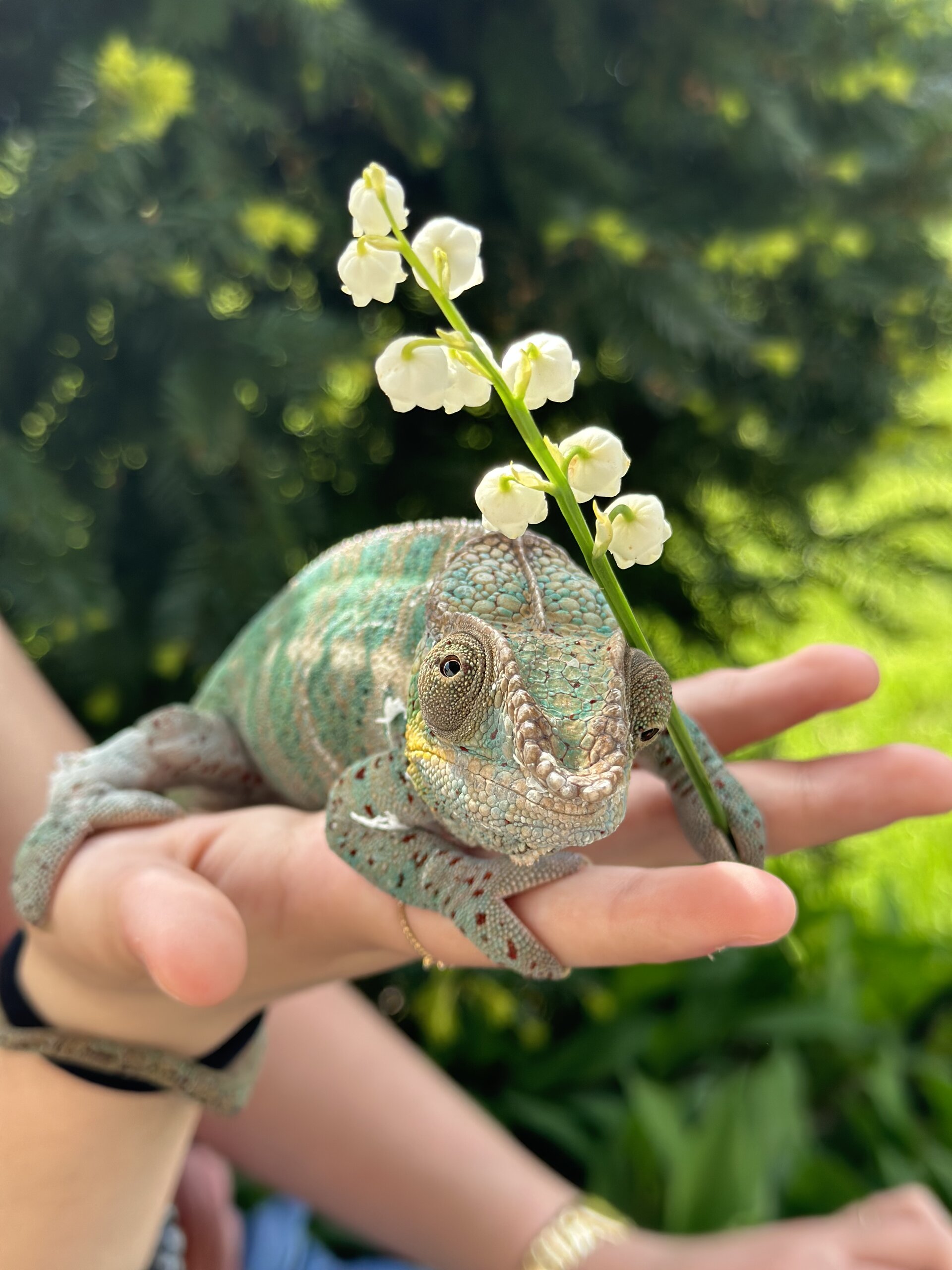 Stop and smell the roses