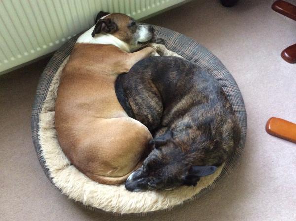 Storm and Biggie