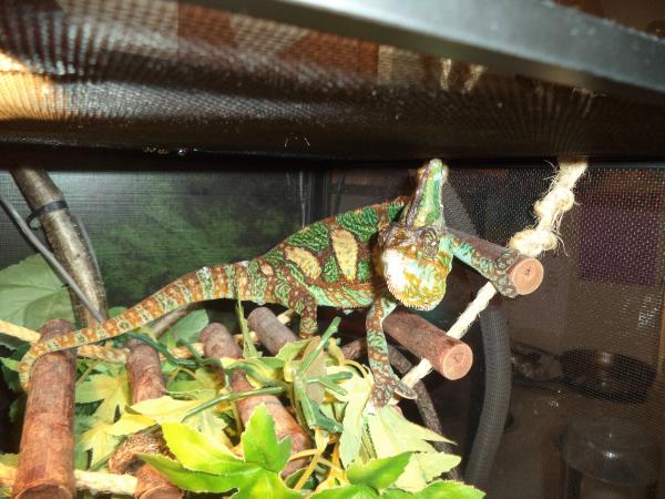 Stressed after a warm bath . . .