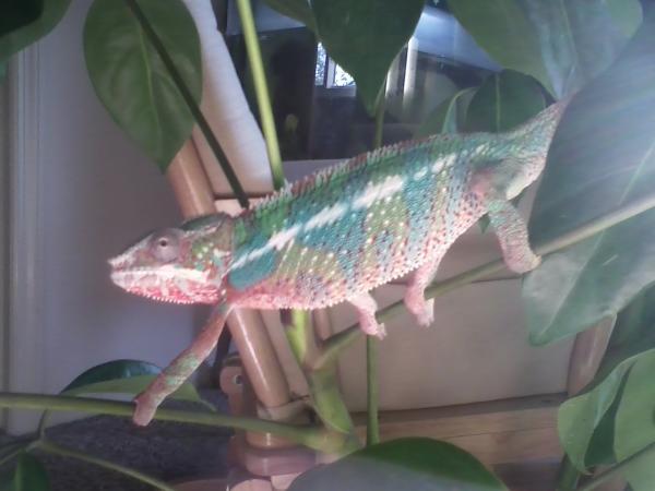 Stretch!