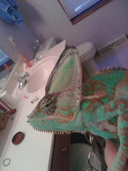 Stud muffin :P
