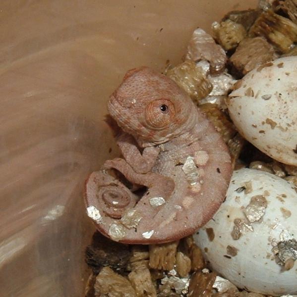 Such a sweet little face