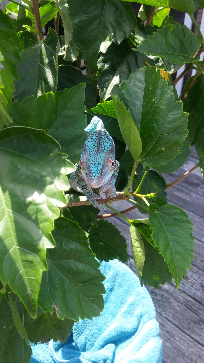 Sully hangin outside #1