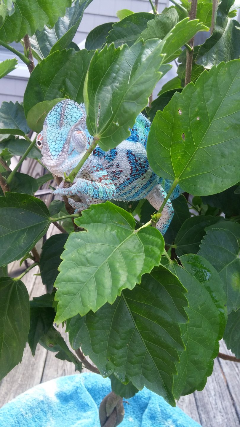 Sully hangin outside #2