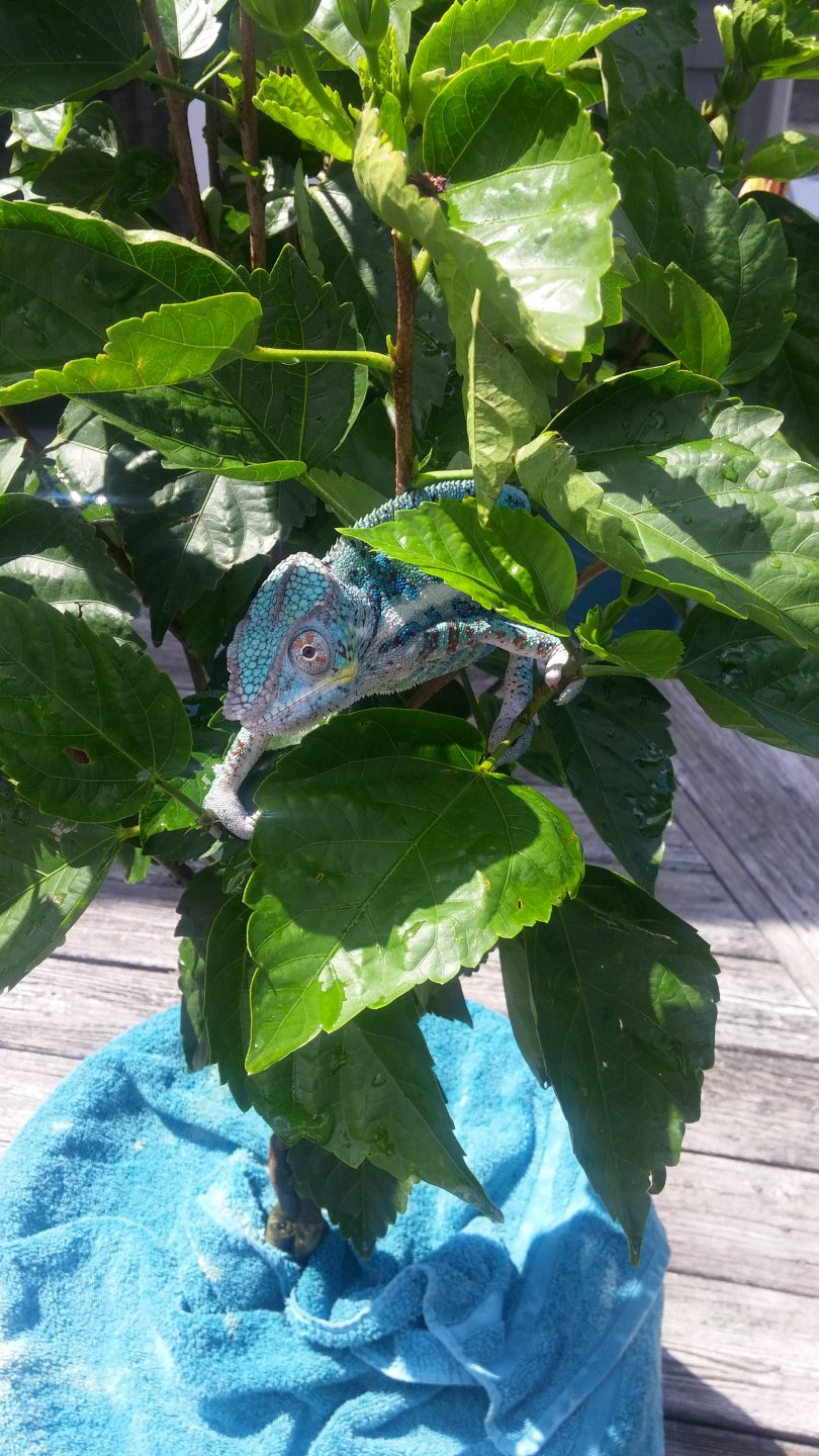 Sully hangin outside #3