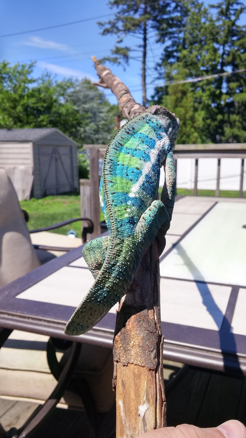 Sully hangin outside #5