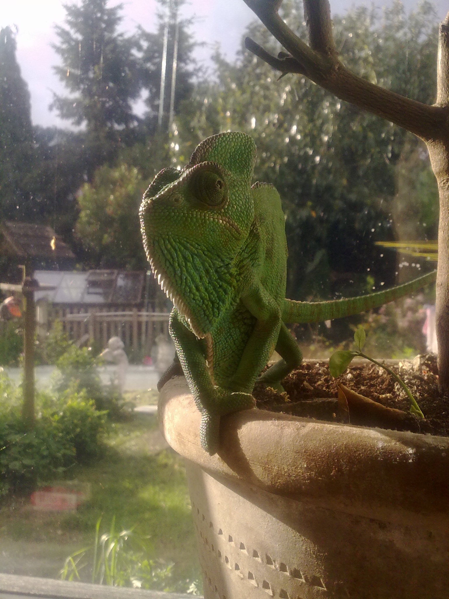 Sun Bathing