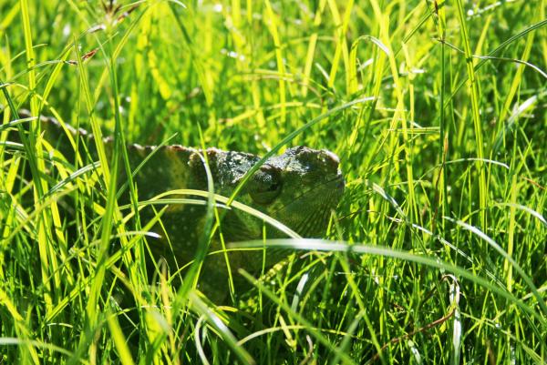 Sunning 10-29-10