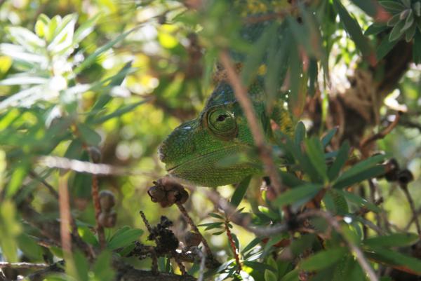 Sunning 10-29-10