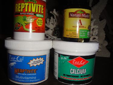Supplements: 
ZOO MED'S REPTIVITE W/D3 - Once every other week
REP-CAL HERPTIVITE W/BETA CAROTENE - MULTIVITAMIN - Once a week
REP-CAL CALCIUM - NO