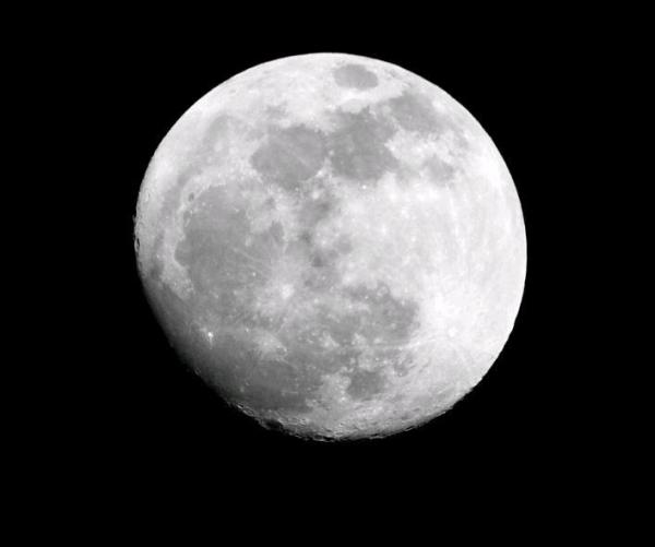 Taken with a canon t3i, attached to a Vortex Viper 20-60x80 spotting scope
