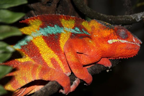 Taking a snooze!
