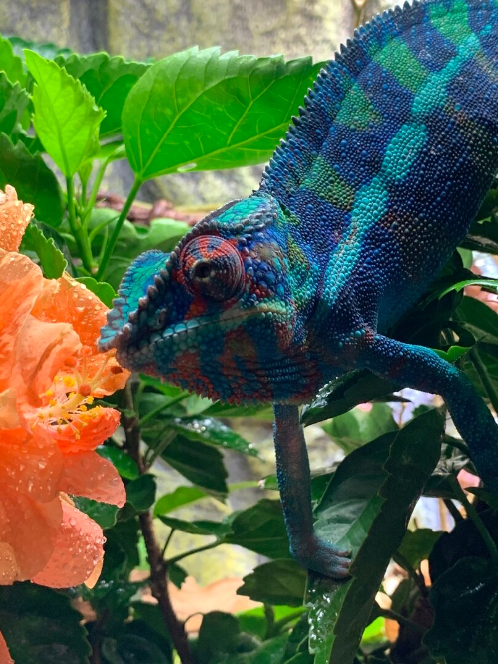 Taking Time To Smell The Flowers