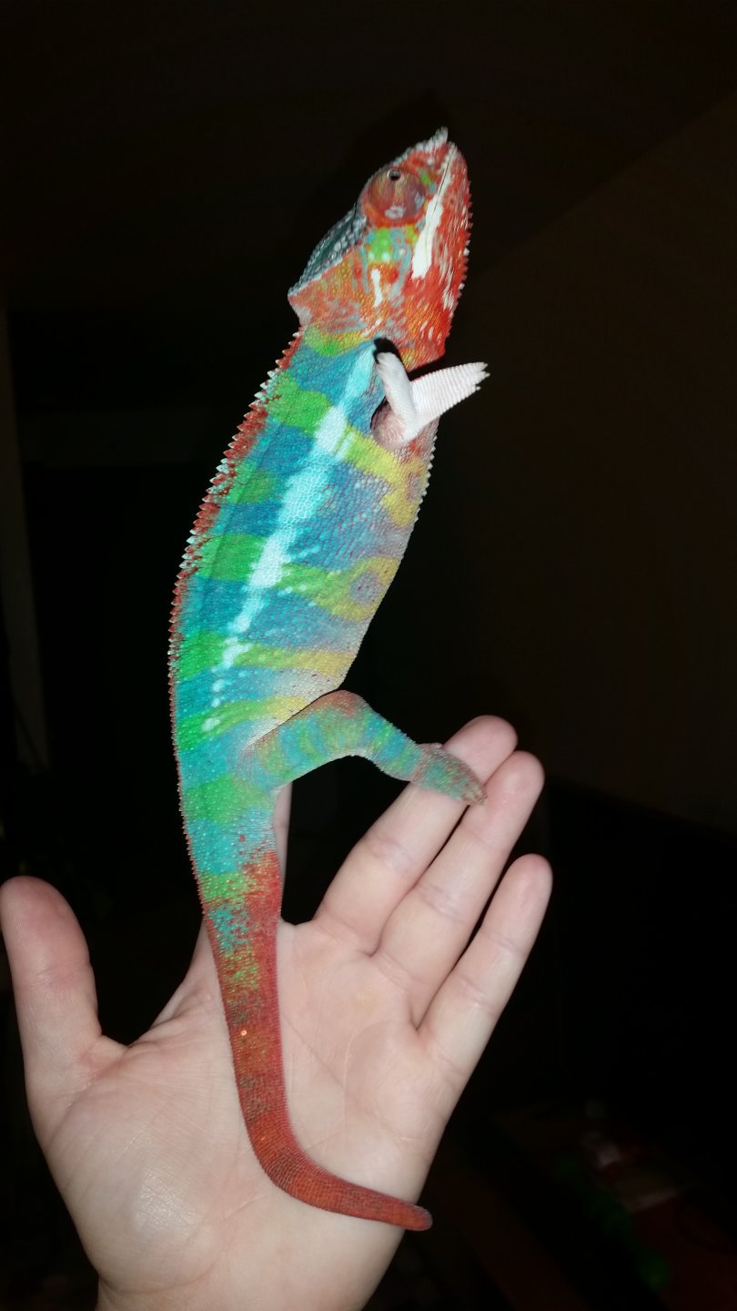 Talk to the hand!
