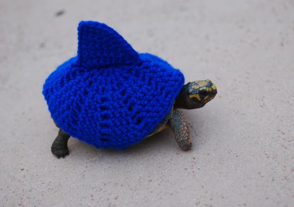 Teddy 1 year and 4 months old  in his shark cozy, weighing 352 grams 9/28/14   #558