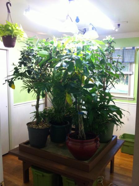 the Begining of the Room