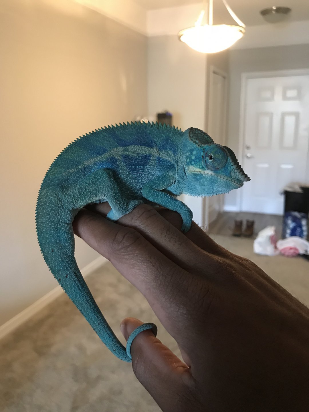 The bond is real!