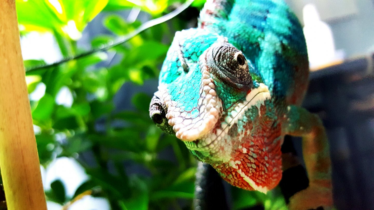 The Colors of the Rainbow