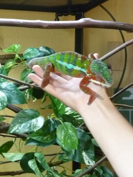 the dude climbing on my hand