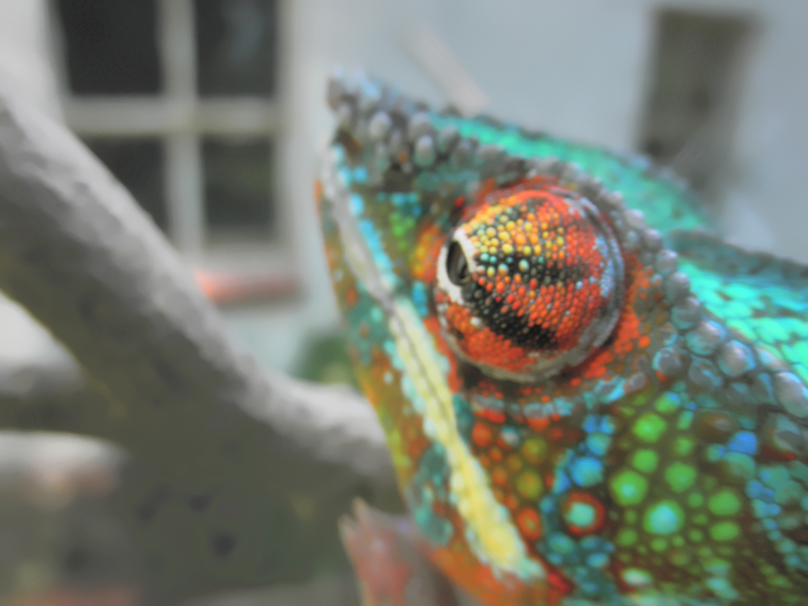 The Eye Of Archimedes